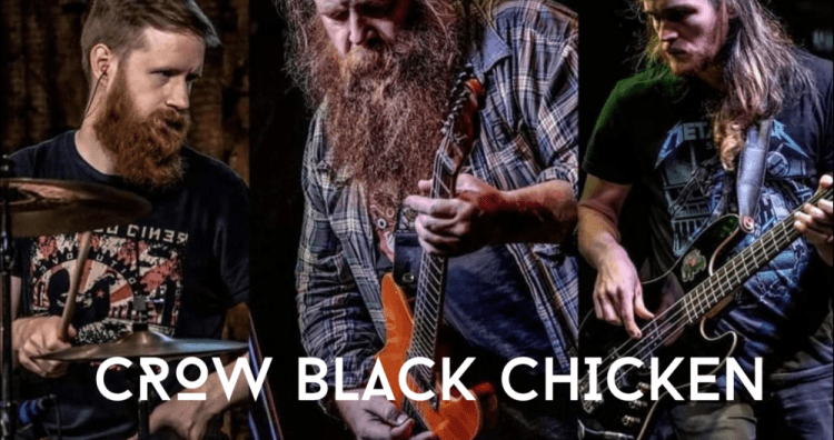 CROW BLACK CHICKEN
